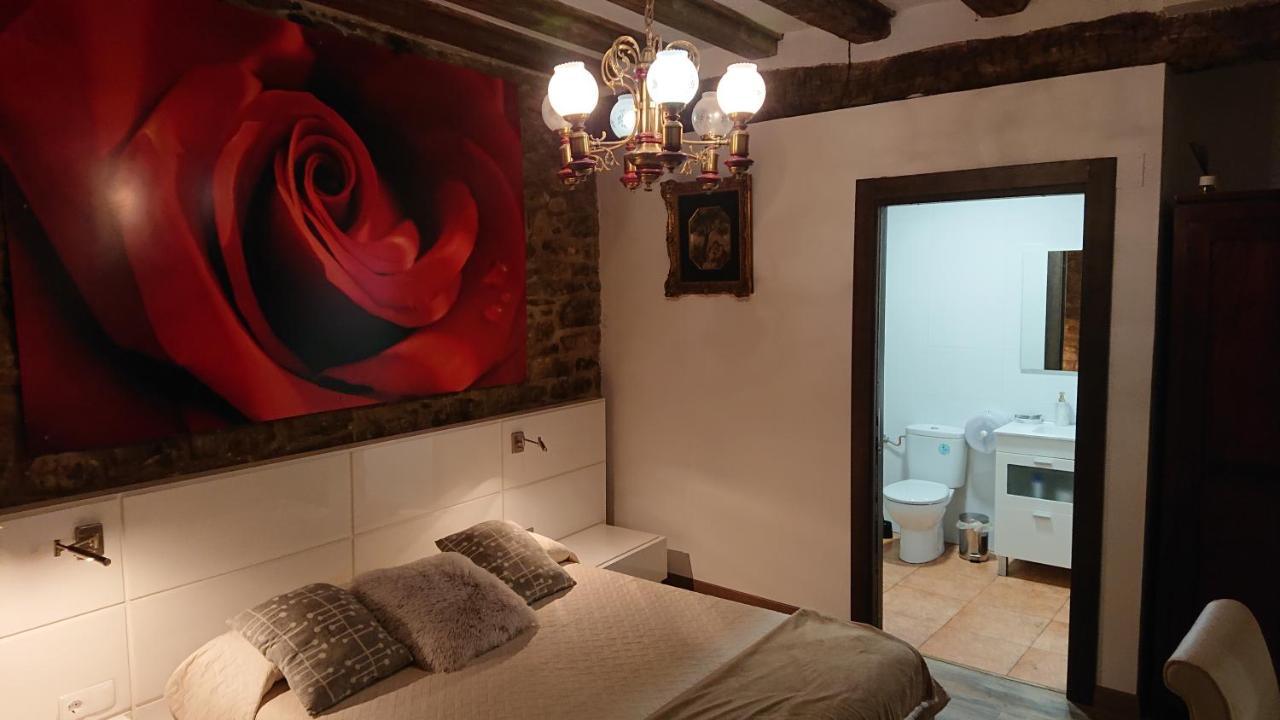 La Pata De Oca Hostal Rural Y Albergue Torres del Rio Exteriér fotografie